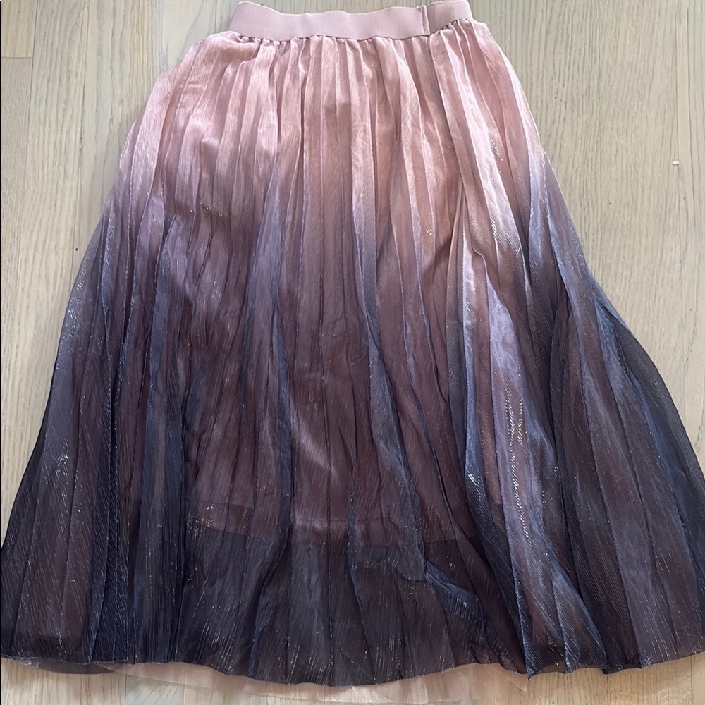 Elegant Ombre Pleated Skirt